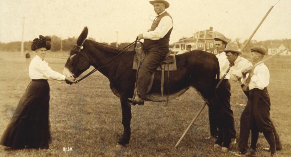 Louis Monsees seated on one of his Missouri mules. [State Historical Society of Missouri, Melvin Bradley Papers, C3026]