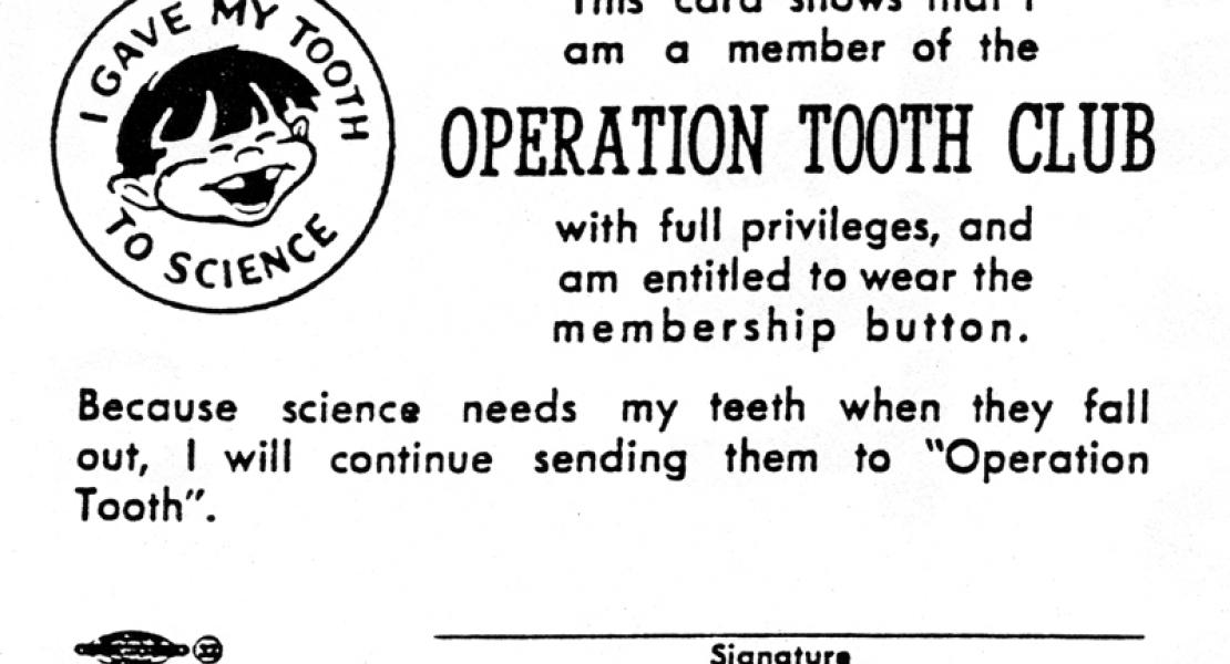 Operation Tooth Club card