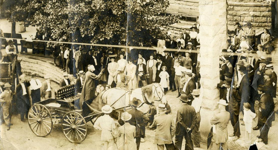Carry Nation, standing in carriage, addresses a crowd. [State Historical Society of Missouri, Lucile Morris Upton Papers, C3869-f564-25]