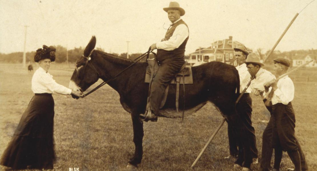 Louis Monsees seated on one of his Missouri mules. [State Historical Society of Missouri, Melvin Bradley Papers, C3026]