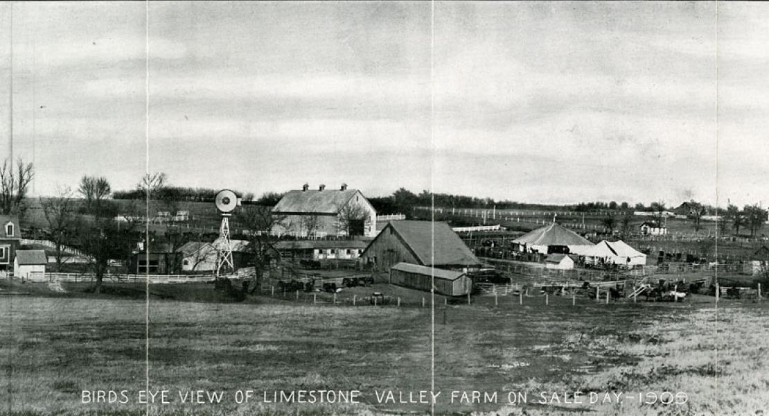 Limestone Valley Farm in Pettis County. [State Historical Society of Missouri, Melvin Bradley Papers, C3026]