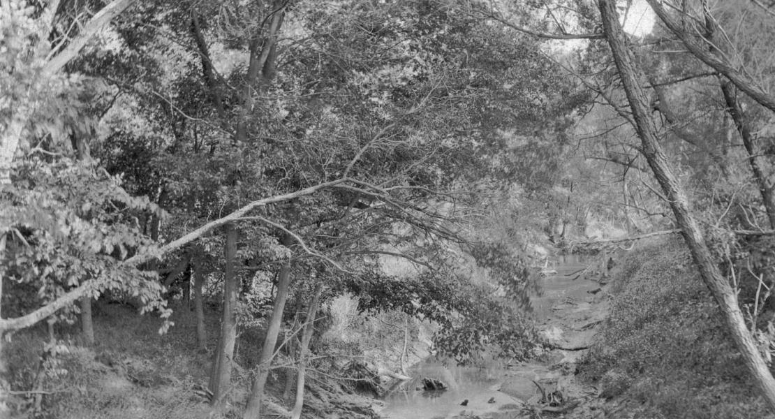 The River Des Peres in 1916, still in a somewhat natural state. The river has since been heavily engineered, and much of it is now channeled underground. [Courtesy of the Landmarks Association of St. Louis]