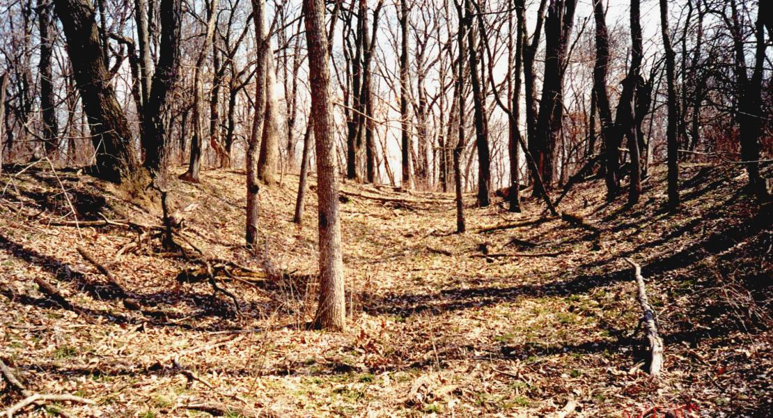 A remaining trace of the Boone’s Lick alpha route in Boone County northeast of Rocheport, photographed in 1999. [Photo by Don Sanders, courtesy of David Sapp]