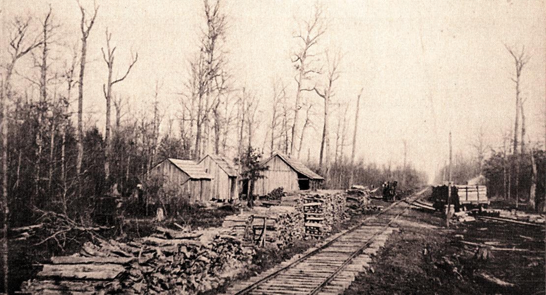 The Houck line near Delta, Missouri, circa 1880s. [Courtesy of Joel P. Rhodes]