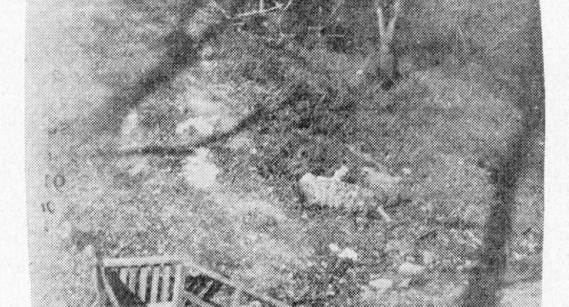 One of the springs at Indian Springs, 1930. [Missouri, March 1930]