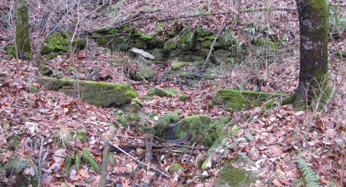 View of a spring in the vicinity of Indian Springs. [Photo by Kimberly Harper] 