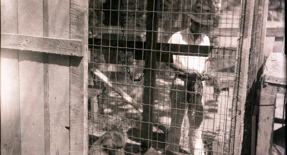 Vern Prewett with a baboon at the small zoo he added to Stony Dell. [State Historical Society of Missouri, Israel Jacob Baumgardner Photograph Collection, R1299]