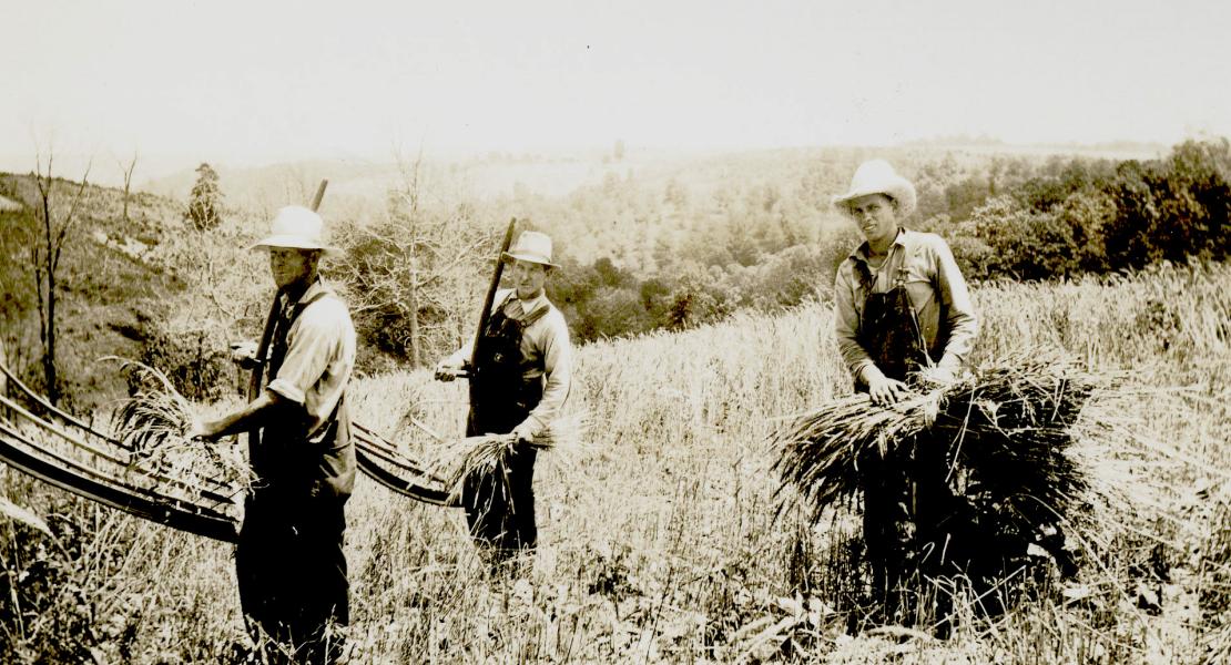 I. B. Jones, R. R. Cummings, and Vernon Cummings in Taney County, Missouri. Lucile Morris Upton took and collected photographs documenting life in the Missouri Ozarks. [State Historical Society of Missouri, Lucile Morris Upton Papers, C3869]
