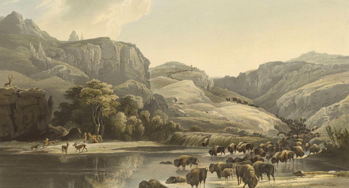 A view of the upper Missouri River by Karl Bodmer, circa 1830s. Print by Charles Vogel. [State Historical Society of Missouri, Art Collection, 1958.0047]